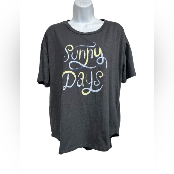 Wildfox Tops - WildFox tee size XL